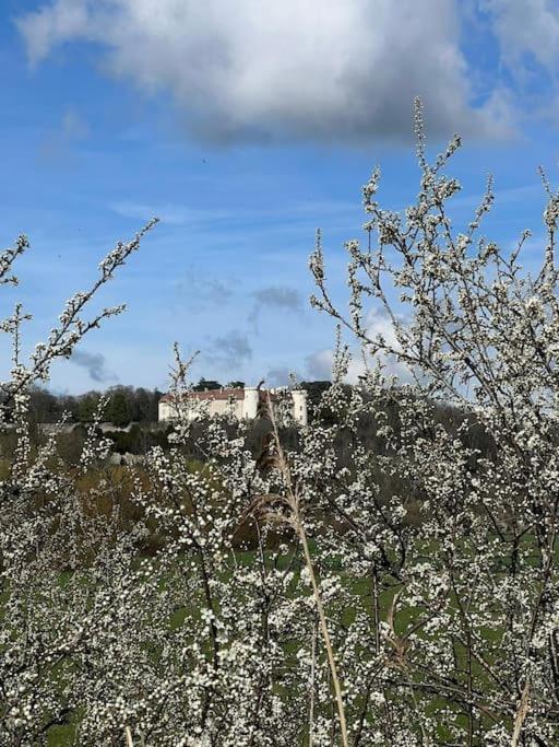 Maison Ray Sur Saone Ray-sur-Saone Екстер'єр фото